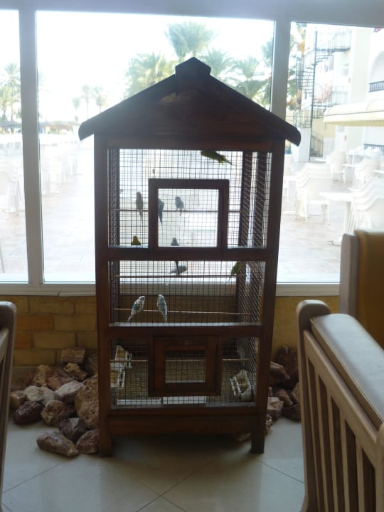 Voliere mit Wellensittichen Houda Golf & Beach Club