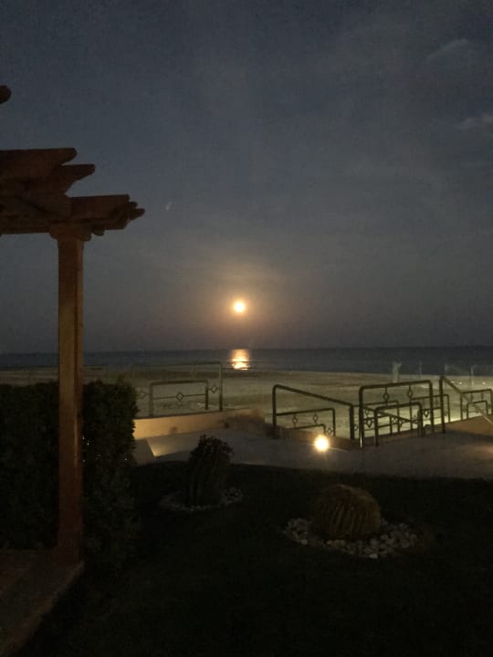 Ausblick Shams Prestige Abu Soma-Adults Only