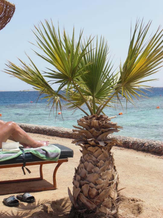 Strand Bel Air Azur Resort - Adults only