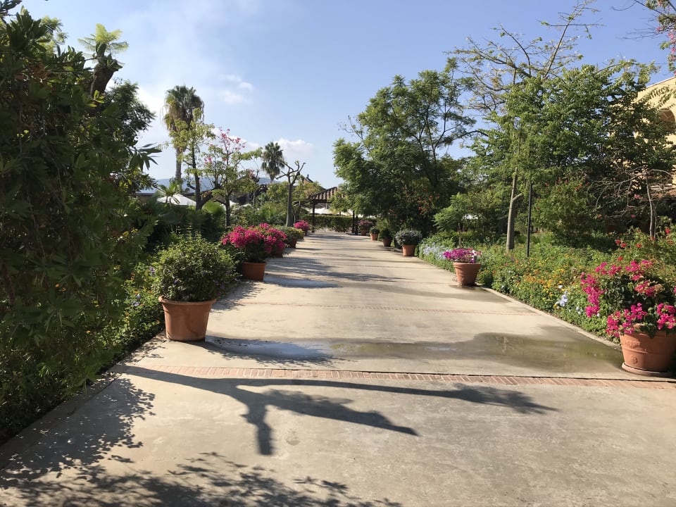 Gartenanlage TUI MAGIC LIFE Calabria