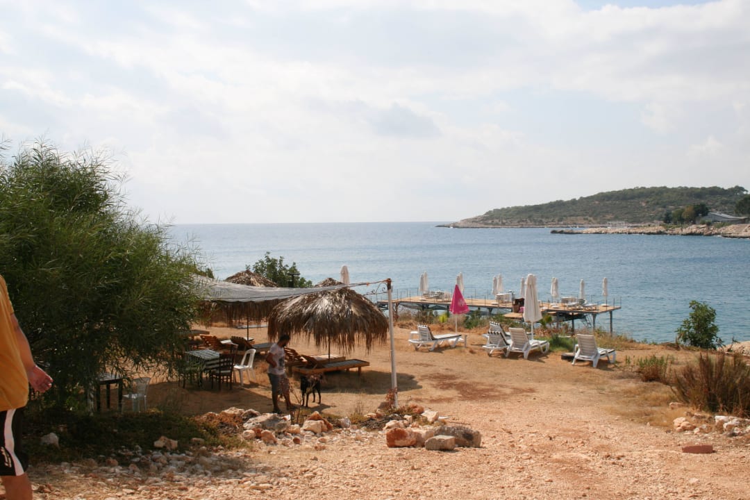 Unser Grillplatz auf dem Campingplatz Hotel Peine