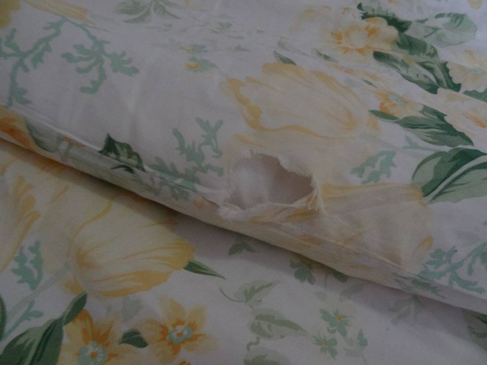 Loch im Bettbezug Hotel Nehalennia