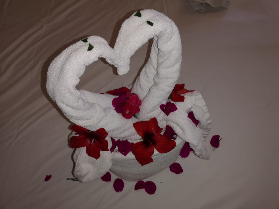 Zimmer Apollon Hotel