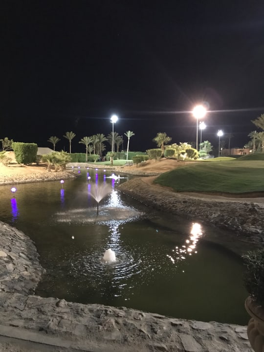 Gartenanlage Steigenberger ALDAU Beach Hotel