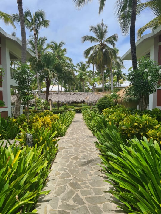 Gartenanlage Grand Palladium Select Bávaro Resort & Spa