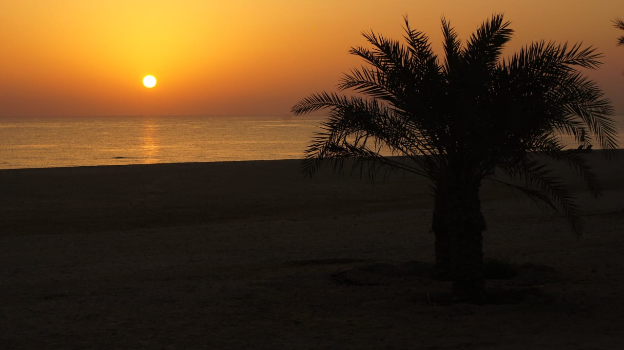 Sonnenaufgangstimmung Anantara Sir Bani Yas Island Al Yamm Villa Resort