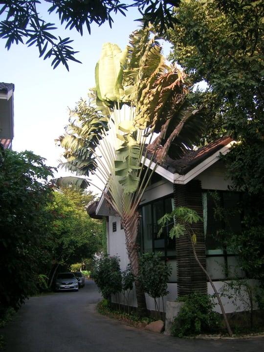 Eines der Wohnhäuser Chayada Garden House and Resort Hotel