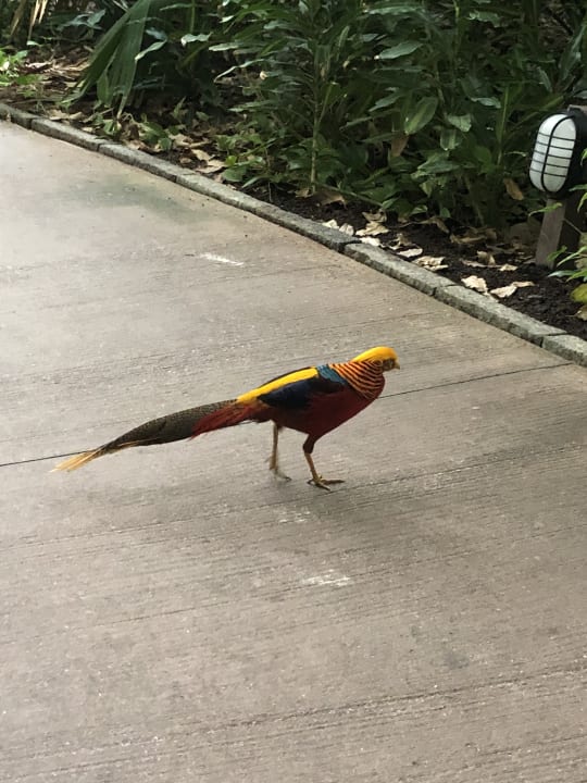 Sonstiges Tropical Islands Resort