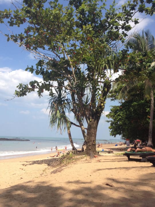 Blick von der Liege auf den Strand Hotel Nang Thong Beach Resort 2