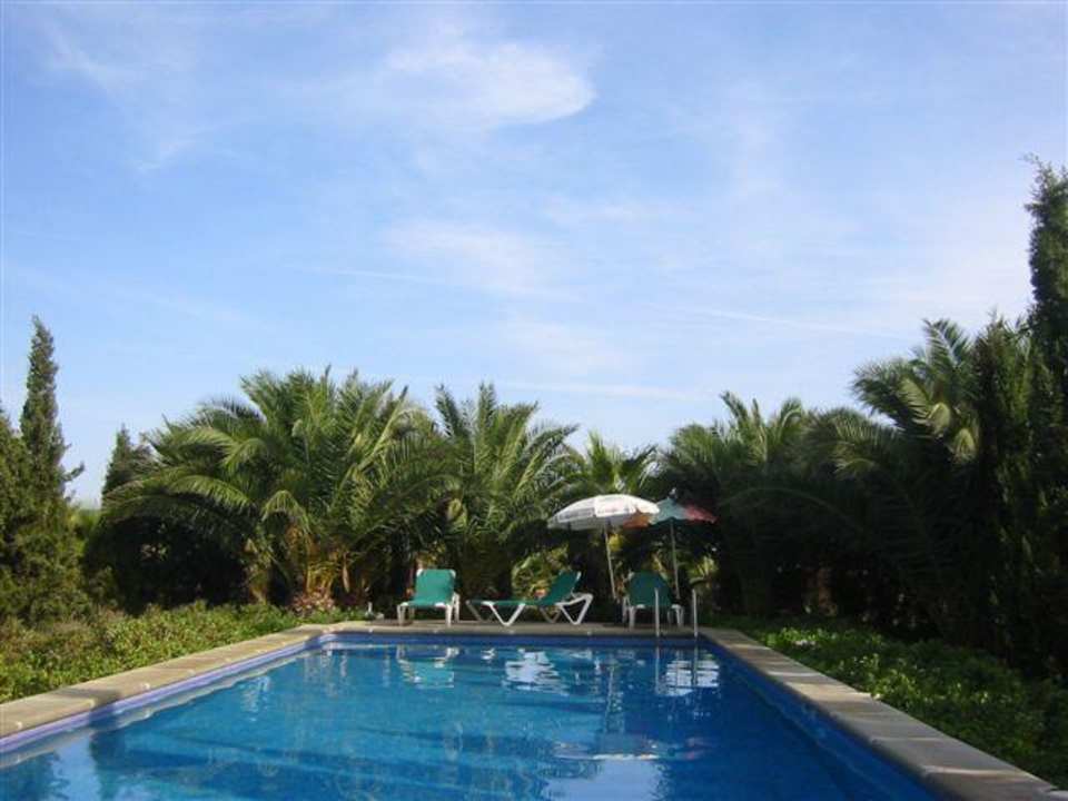 Pool Finca Es Palmer