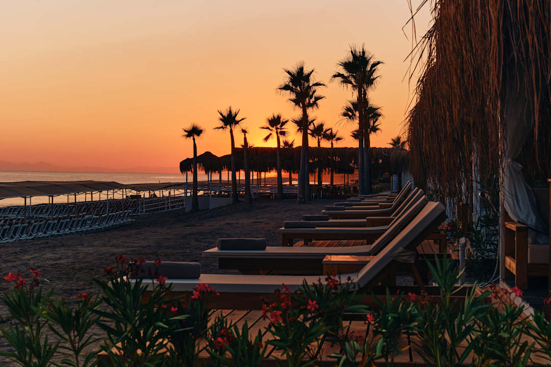 Strand Selectum Colours Side