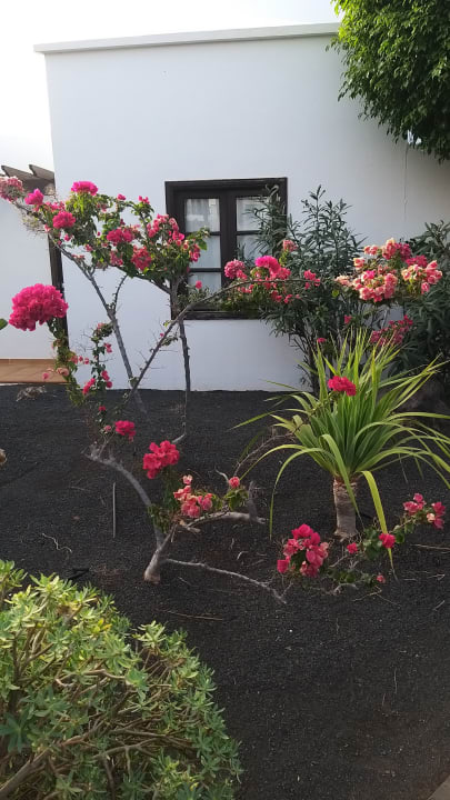 Außenansicht allsun App.-Hotel Albatros