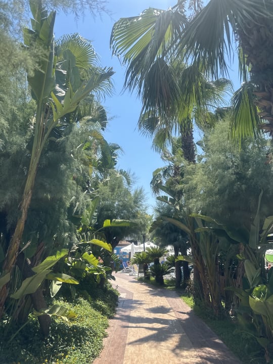 Gartenanlage Sunis Evren Beach Resort Hotel & Spa