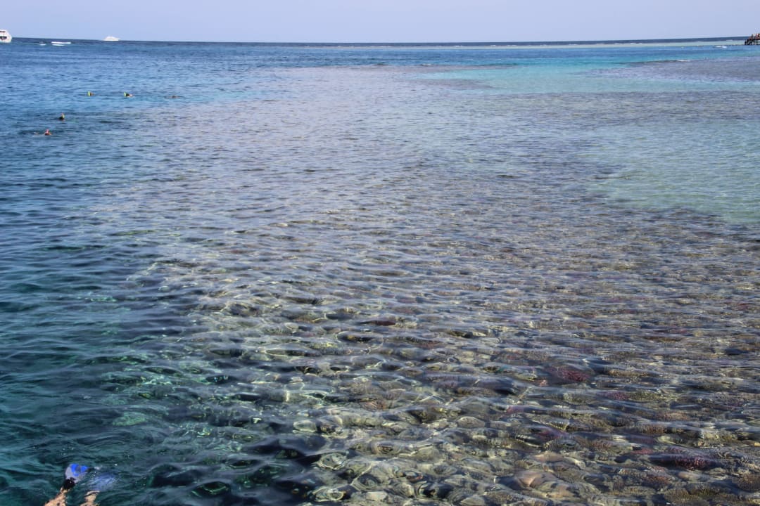 Riff Cleopatra Luxury Resort Makadi Bay