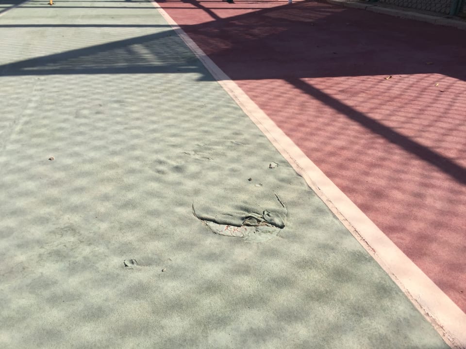 Sport & Freizeit Pickalbatros Aqua Blu Resort - Sharm El Sheikh