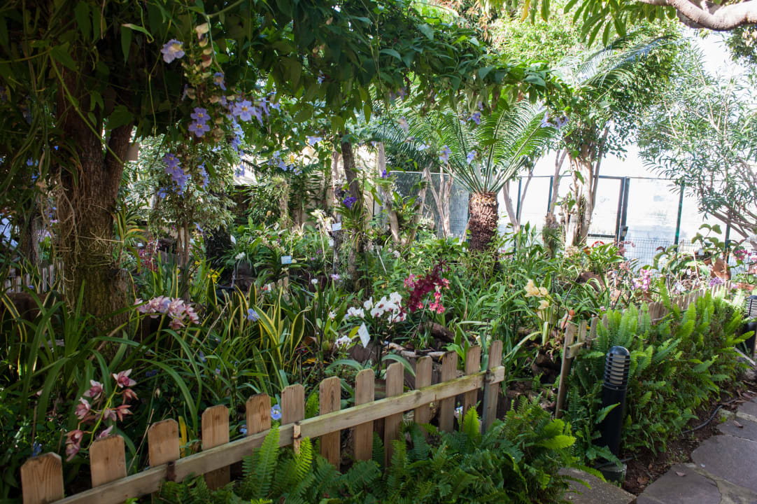 Orchideengarten Suite Hotel Eden Mar - PortoBay