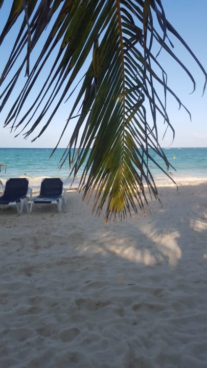 Unser Lieblingsplatz Grand Palladium Select Bávaro Resort & Spa