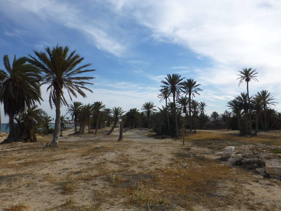 Innen Anlage des Hotels Hotel El Mouradi Djerba Menzel
