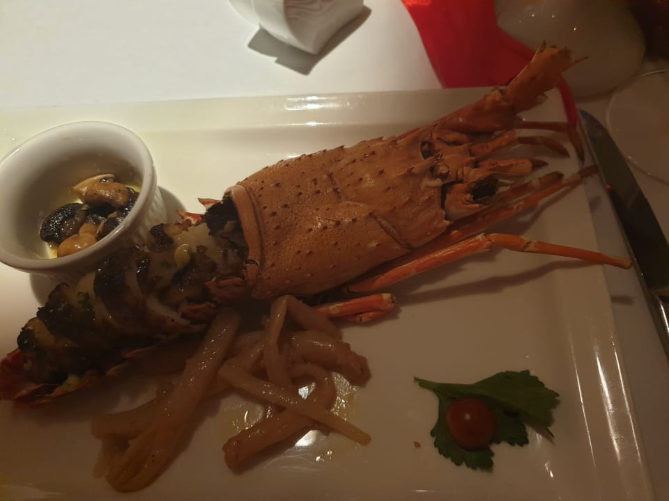 Gastro Fort Arabesque Resort, Spa & Villas