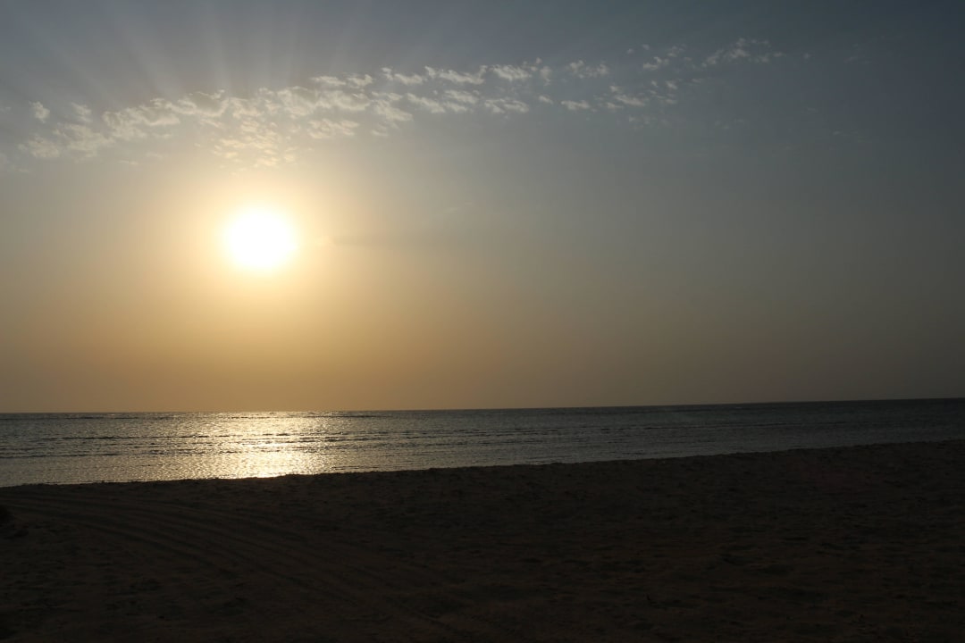 Hotel Gorgonia Beach Hotel Gorgonia Beach Resort