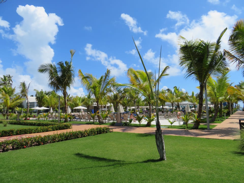 Gartenanlage Hotel Riu Palace Punta Cana