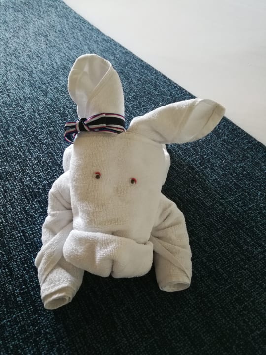 Zimmer Dreams Jardín Tropical