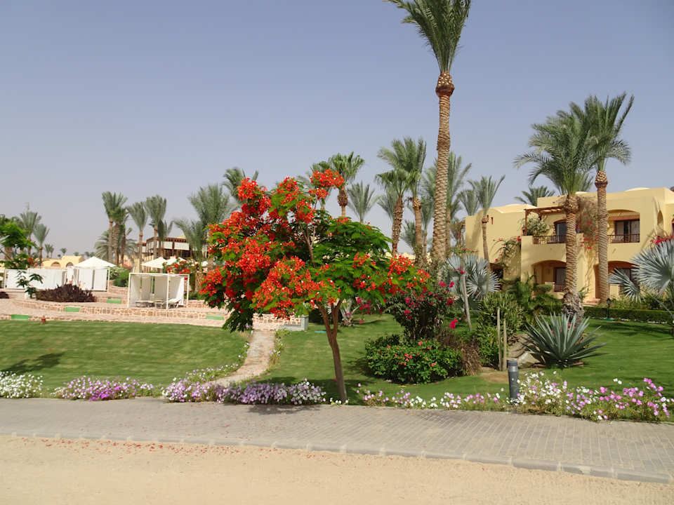 Gartenanlage Steigenberger Coraya Beach - Adults only