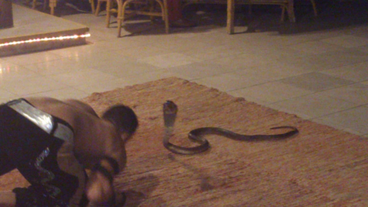 Gala Abend Ghazala Gardens