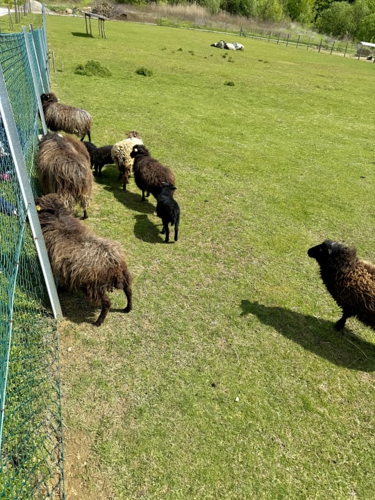 Sport & Freizeit Reiters Finest Family Hotel