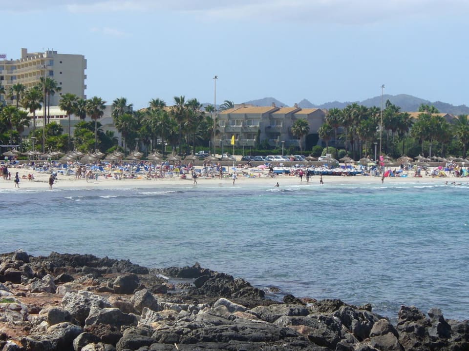Der Blick auf unseren Strand Hipotels Mediterraneo Club