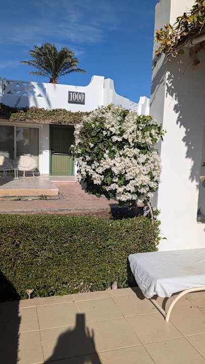 Gartenanlage Shams Safaga Resort