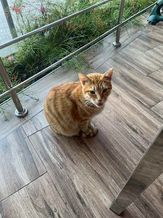 Sonstiges VONRESORT Golden Beach