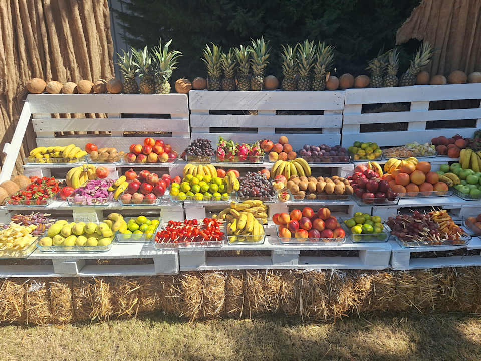 Gartenanlage Sidemarin Kirman Premium