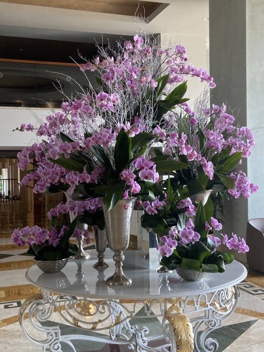 Lobby Arum Barut Collection
