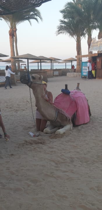 Strand Golden Beach Resort