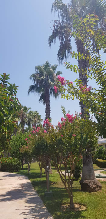 Gartenanlage Alba Resort Hotel