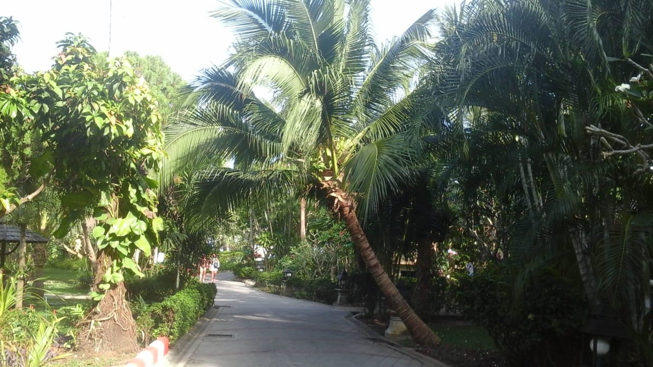 Weg zum Strand The Fair House Beach Resort