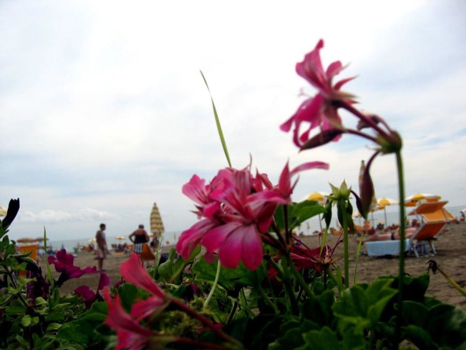 Strand Union Lido Art & Park Hotel Union Lido