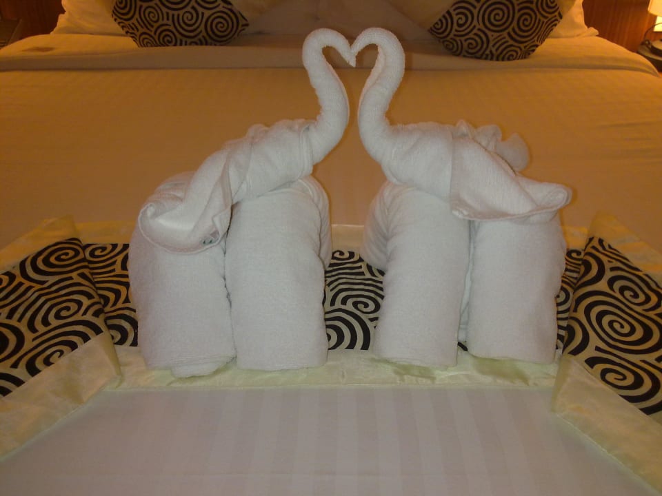 Elephants on bed Beyond Krabi