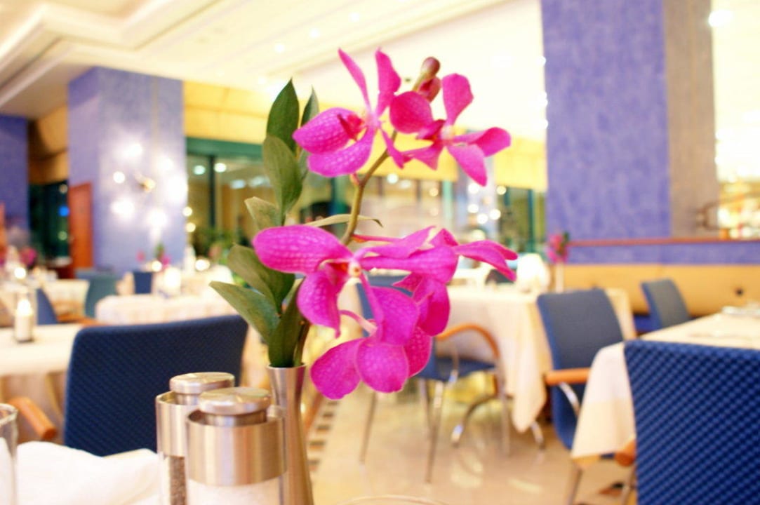 Waves Restaurant Le Meridien Mina Seyahi Beach Resort & Waterpark