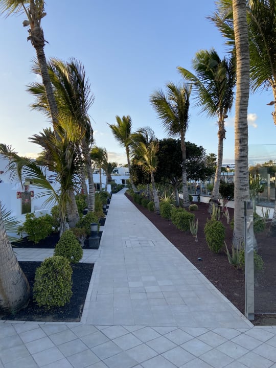 Gartenanlage Hotel Las Costas