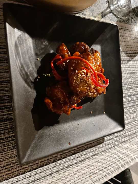 Gastro JAZ Elite Asteria