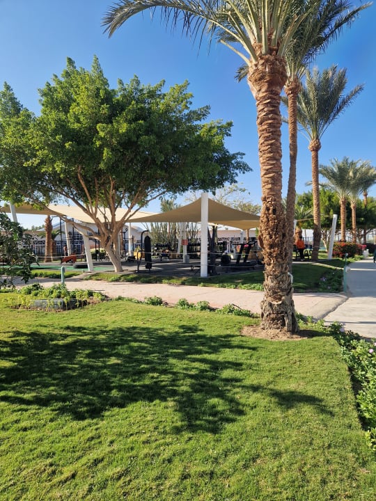 Gartenanlage Desert Rose