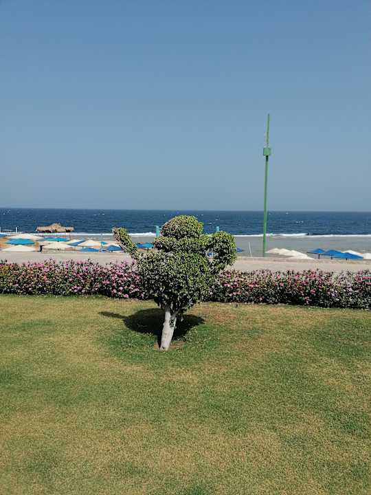 Ausblick Sentido Akassia Beach