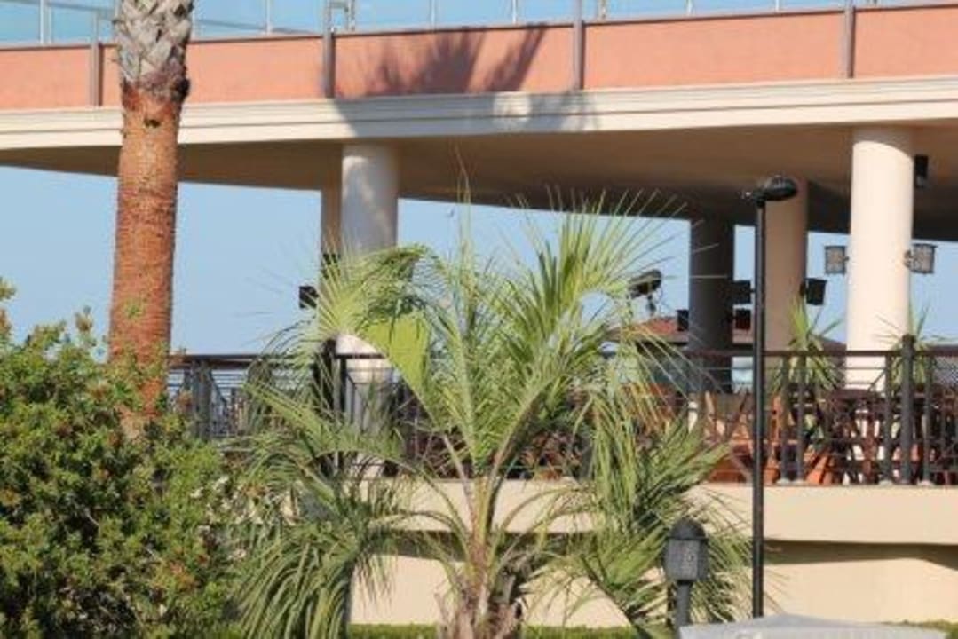 Panoramabar TUI BLUE Palm Garden