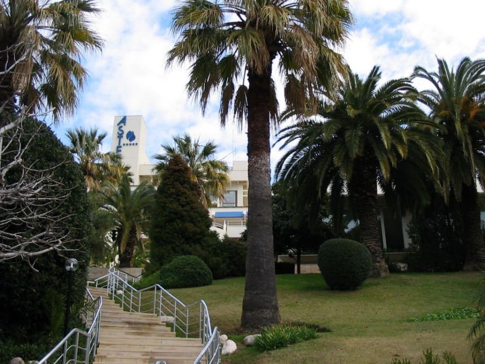 Garten Side Star Elegance