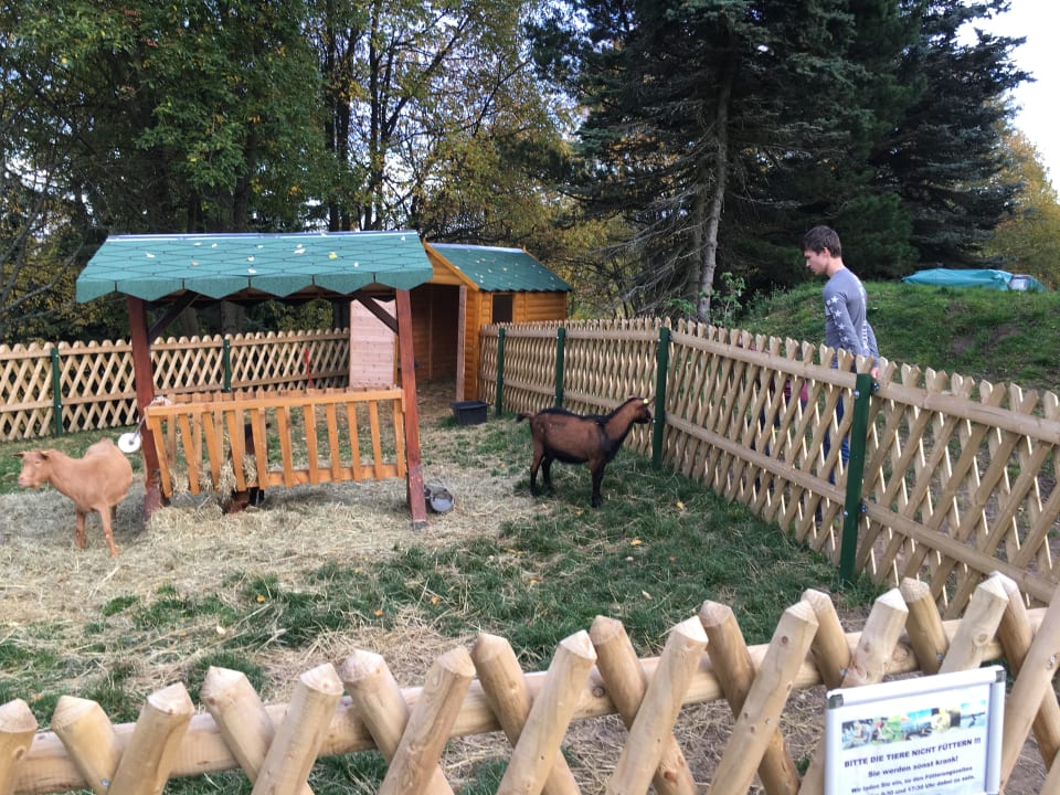 Sport & Freizeit AHORN Hotel Am Fichtelberg