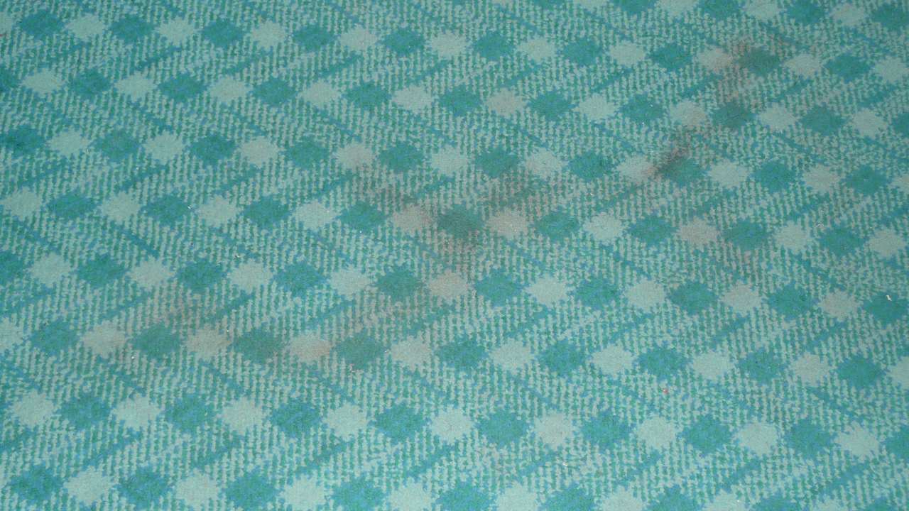 Moquette de la chambre ! Mahdia Beach & Aquapark