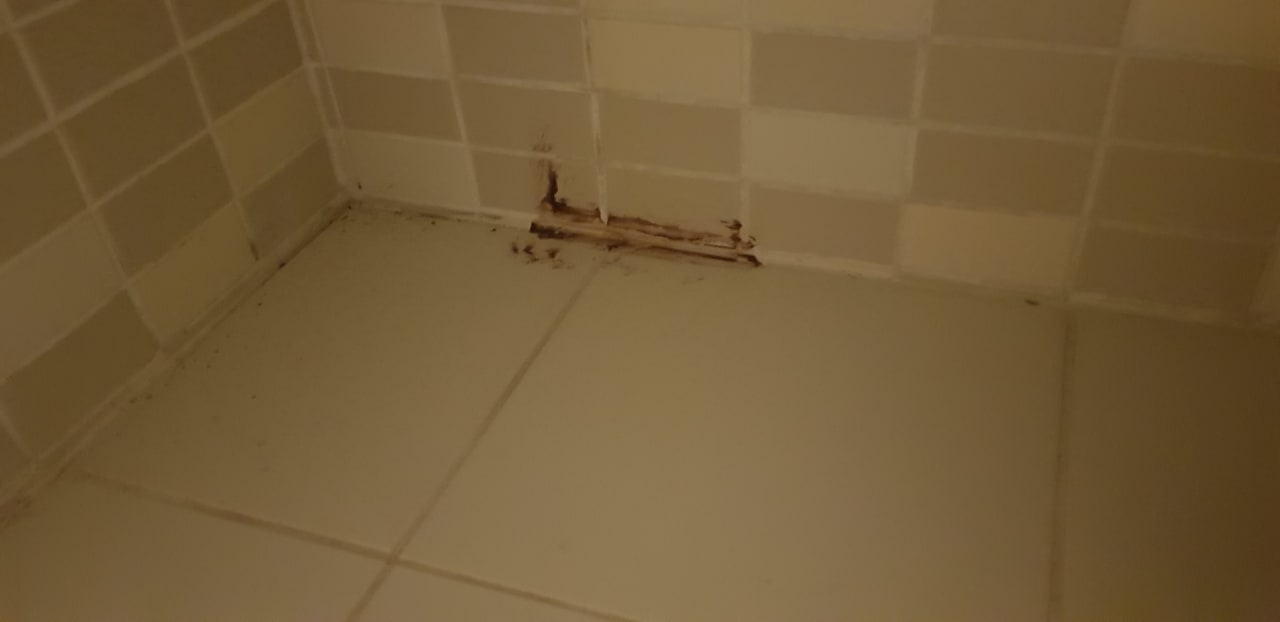 Zimmer Seher Kumköy Star Resort & Spa