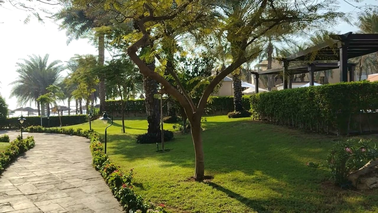 Gartenanlage Miramar Al Aqah Beach Resort